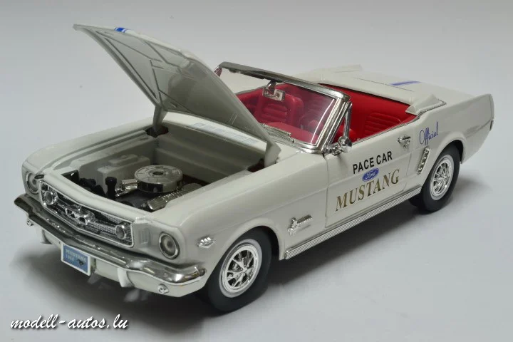 DSC_17879 (Small).JPG