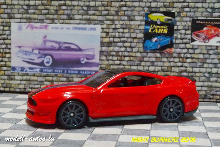 DSC_17634 (Small)_exposure.JPG