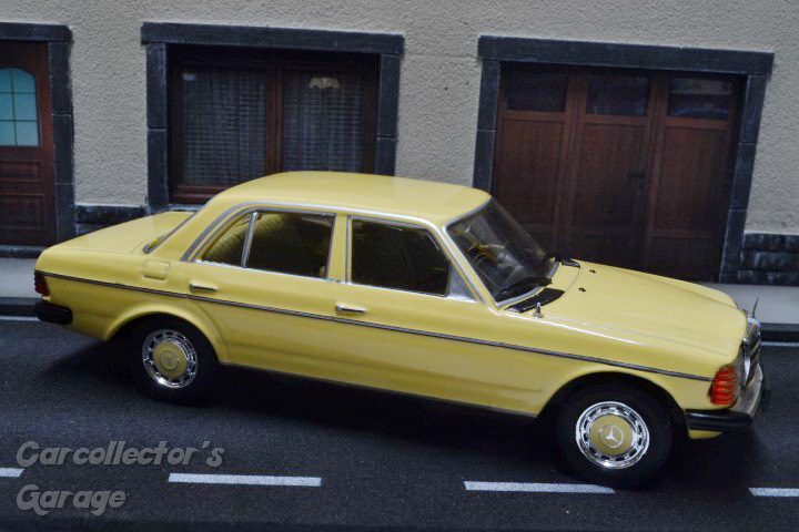 DSC_21248 (Small)_exposure (2).JPG