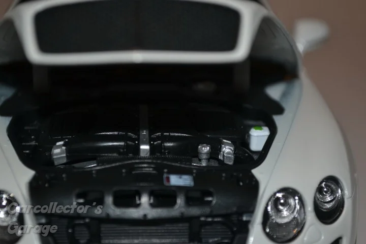 IMG_24886 (Small).jpeg