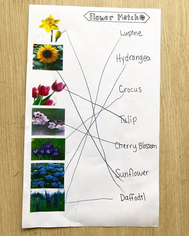 We also had some fun at Family Dinner with this matching flower game. We should have made it tougher! Each table of kids and family members worked together and came up with the answers with less discussion than our staff team did when we tested the g