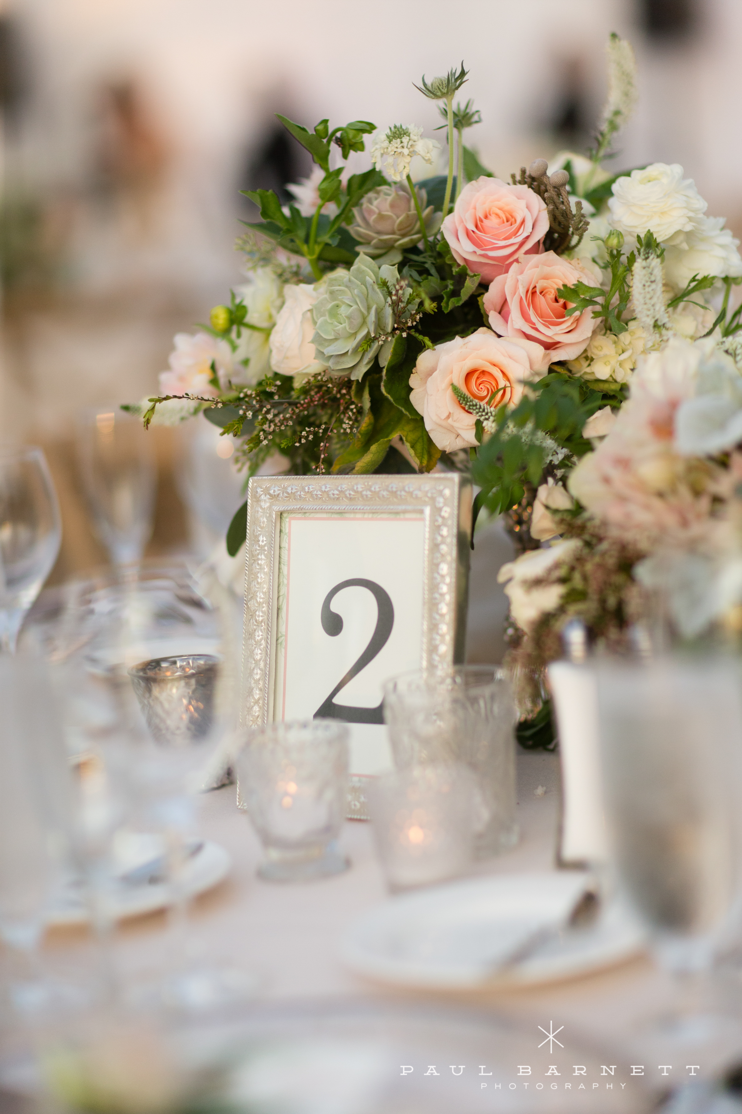 Paul Barnett Photography