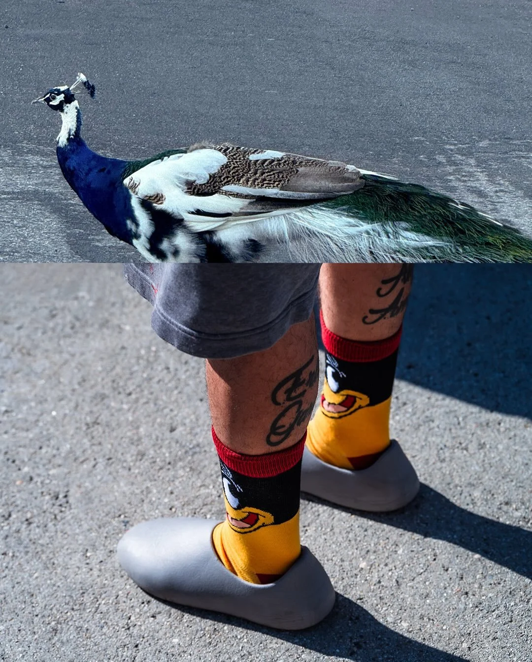 Boldly stepping into 2026.