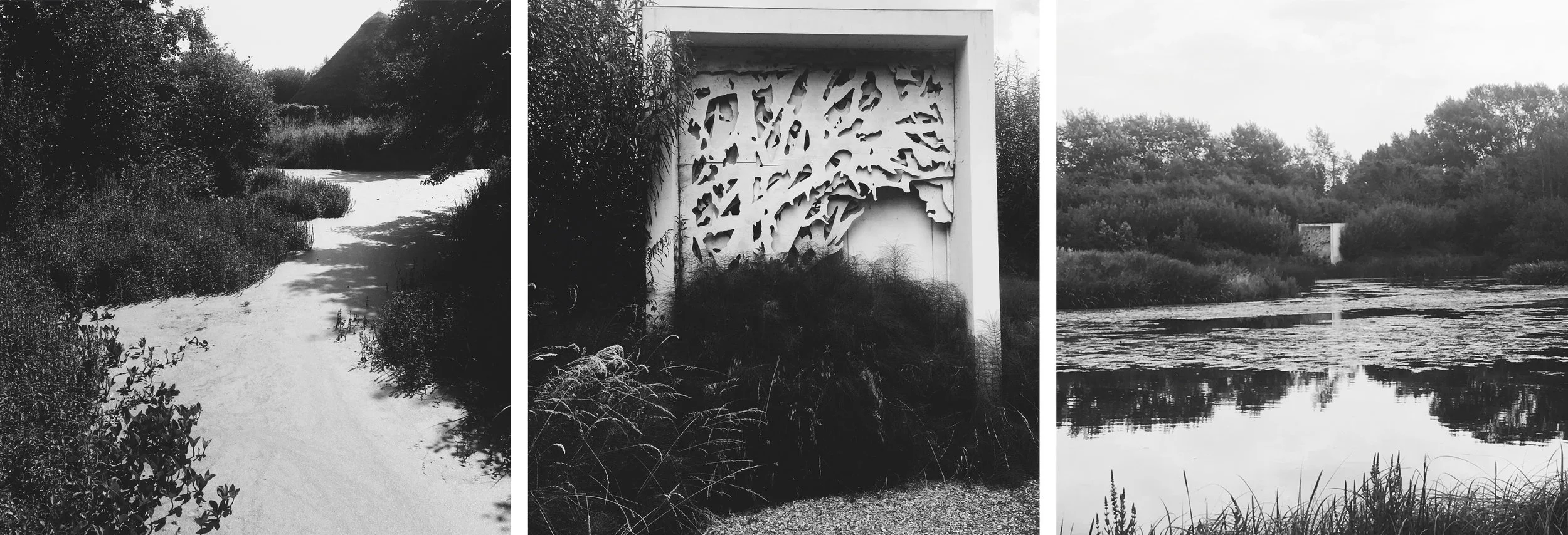 image8.2.jpg