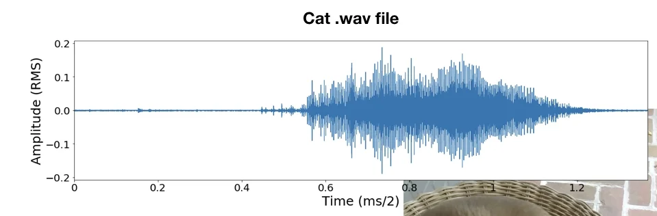 raw audio signal for george's meow