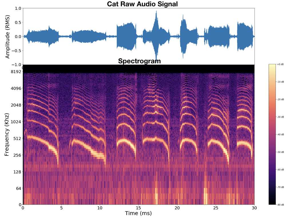Classification of  Meows and Woofs: Part 1 Spectrograms!