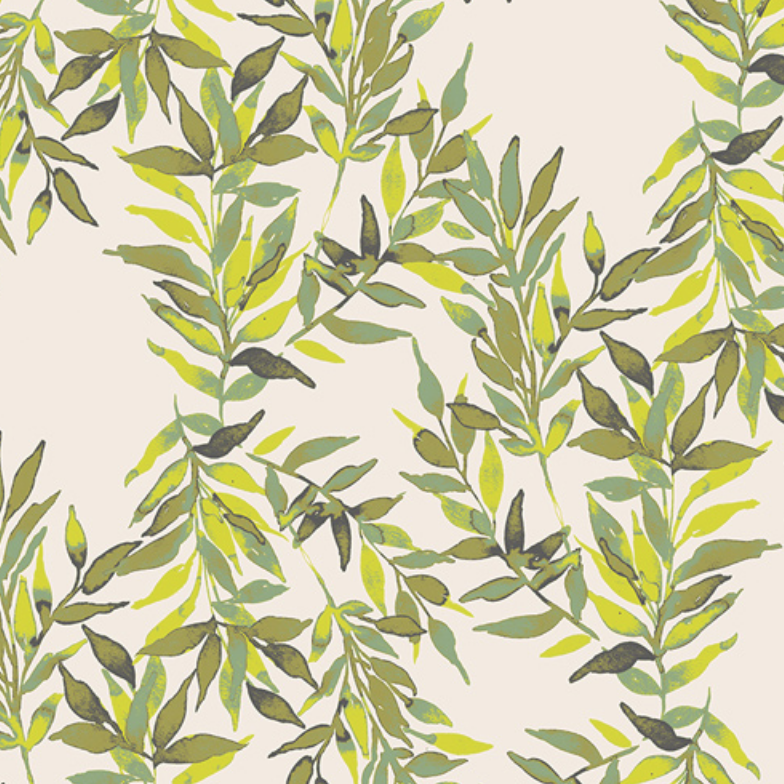Olea.png