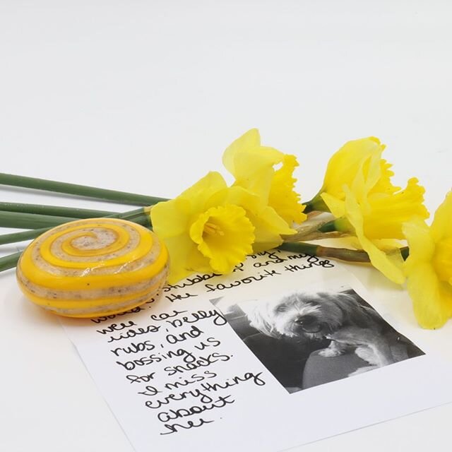 A sunshine yellow skipping stone in memory of Kati, who loved belly rubs, car rides, and snacks. My heart breaks for anyone who has lost a pet. 🌼☀️💛
.
.
.
.
.
.
.
#cremation #cremationashes #cremationkeepsake  #memorialart #ashesinglass #emberstone