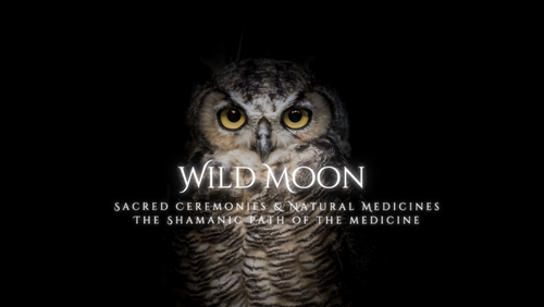Wild Moon ~ The path of the Medicine