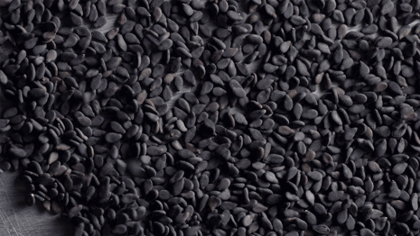 Black-Sesame-THUMBNAIL.gif
