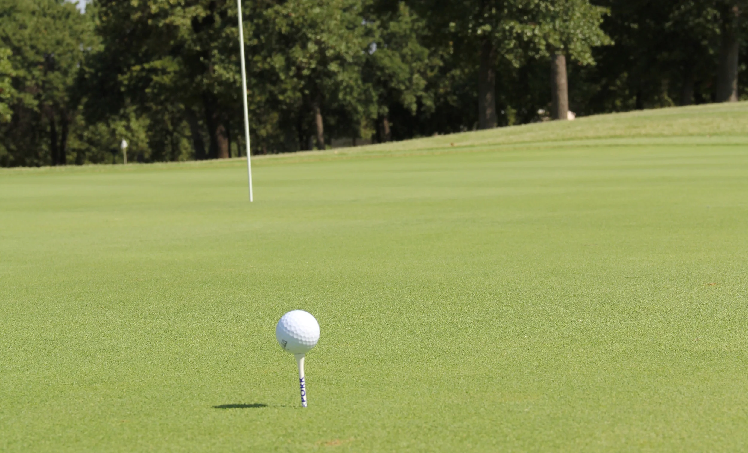 Closest to the Pin.JPG