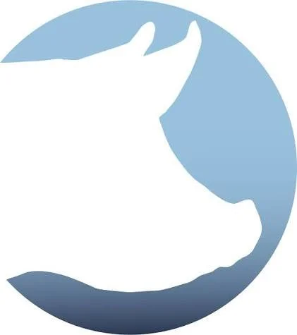 images (10).jpeg