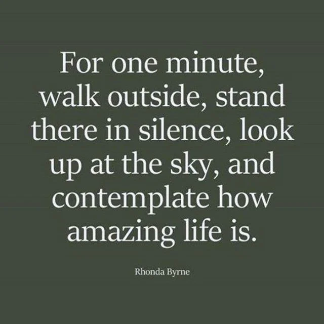 We are surrounded by so many beautiful things! #CornerstoneEscrowInc #CornerstoneEscrowYO #KeepingUpWithCornerstone #LookAround #Thursday