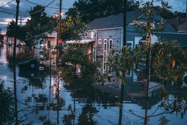 Screenshot 2026-03-03 at 3.01.47 PM.png