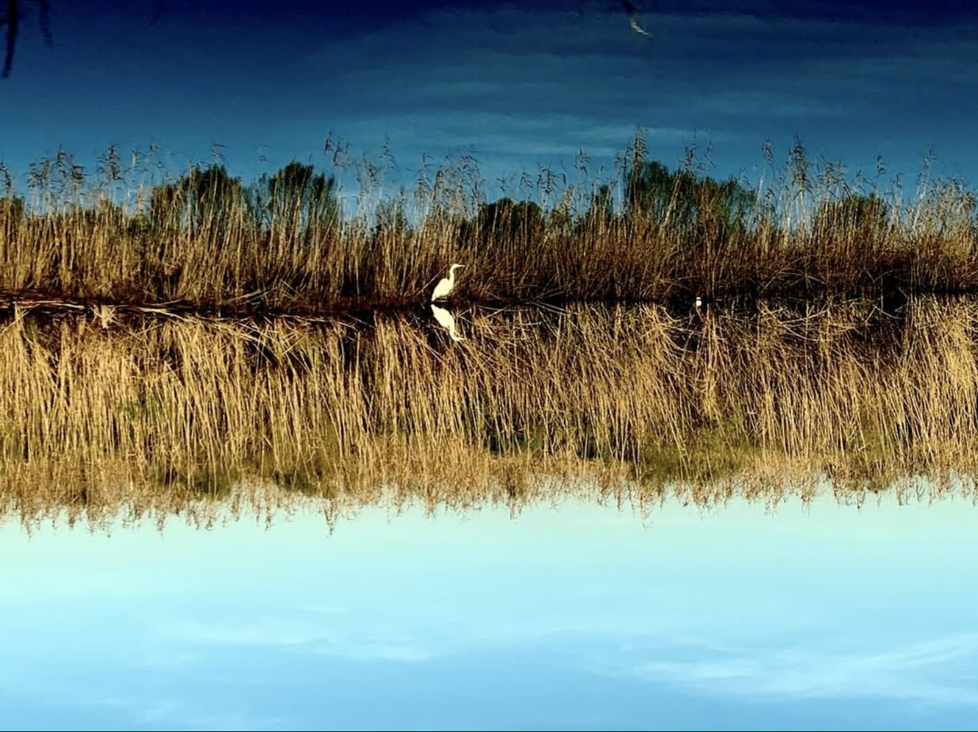 Screenshot 2026-03-03 at 3.06.38 PM.png