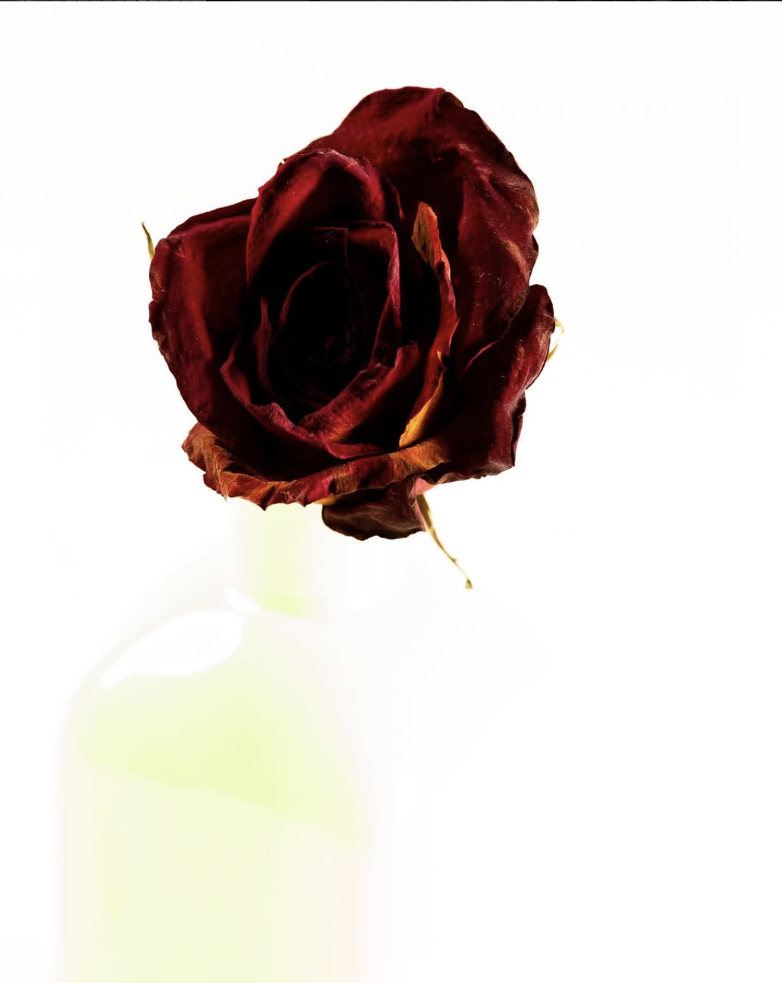 Screenshot 2026-03-03 at 3.10.50 PM.png