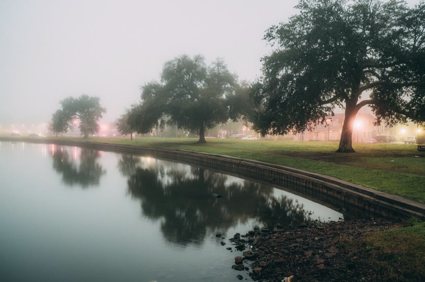 Screenshot 2026-03-03 at 3.15.09 PM.png