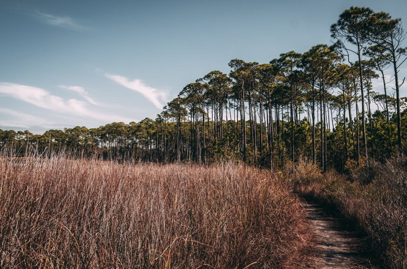 Screenshot 2026-03-03 at 3.16.02 PM.png