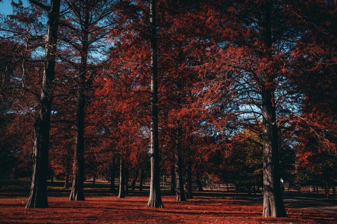 Screenshot 2026-03-03 at 3.26.31 PM.png