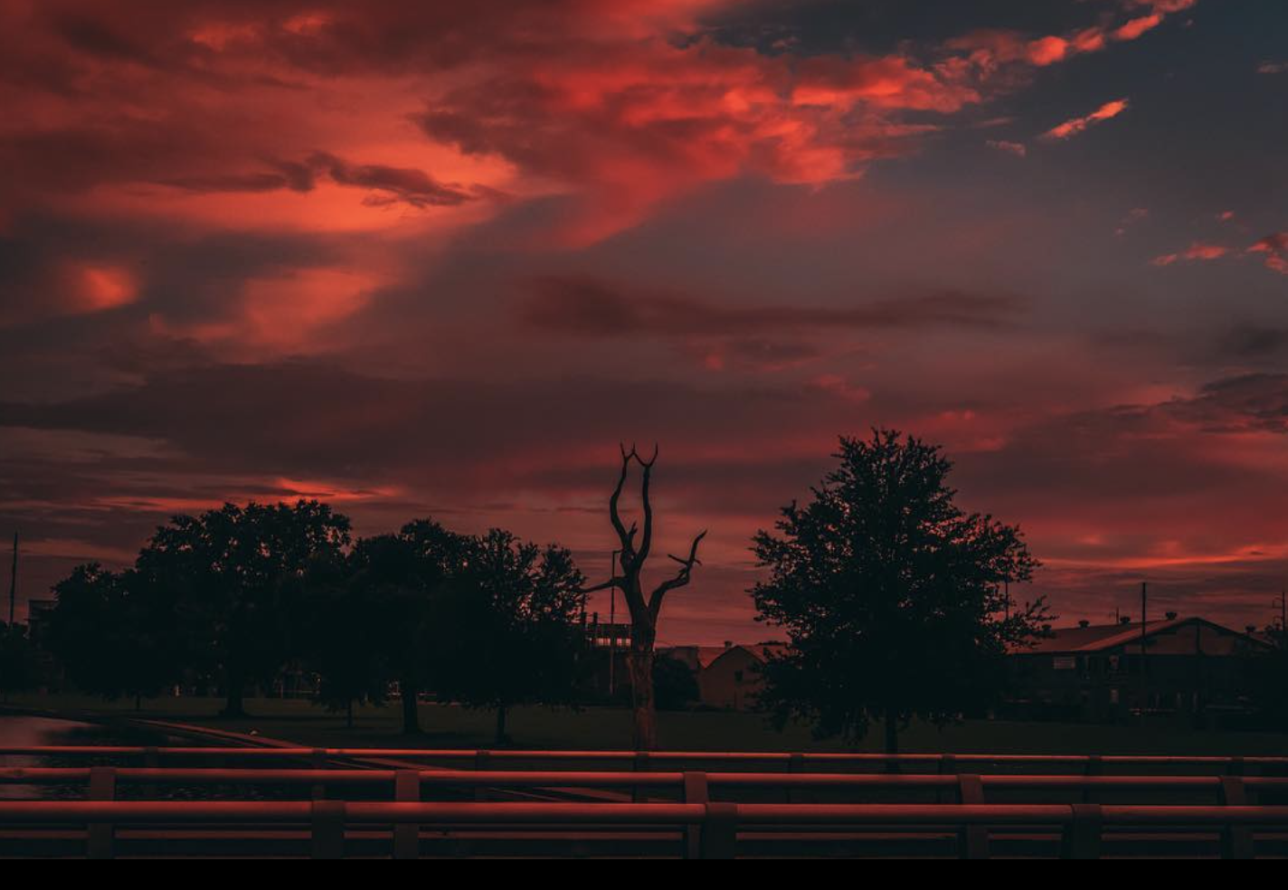 Screenshot 2026-03-03 at 3.27.52 PM.png