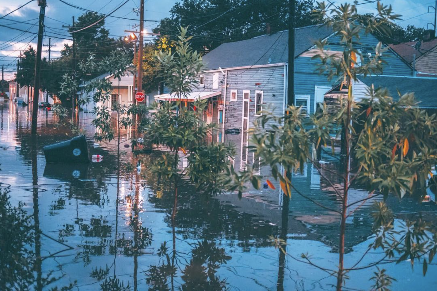 Screenshot 2026-03-03 at 3.28.54 PM.png