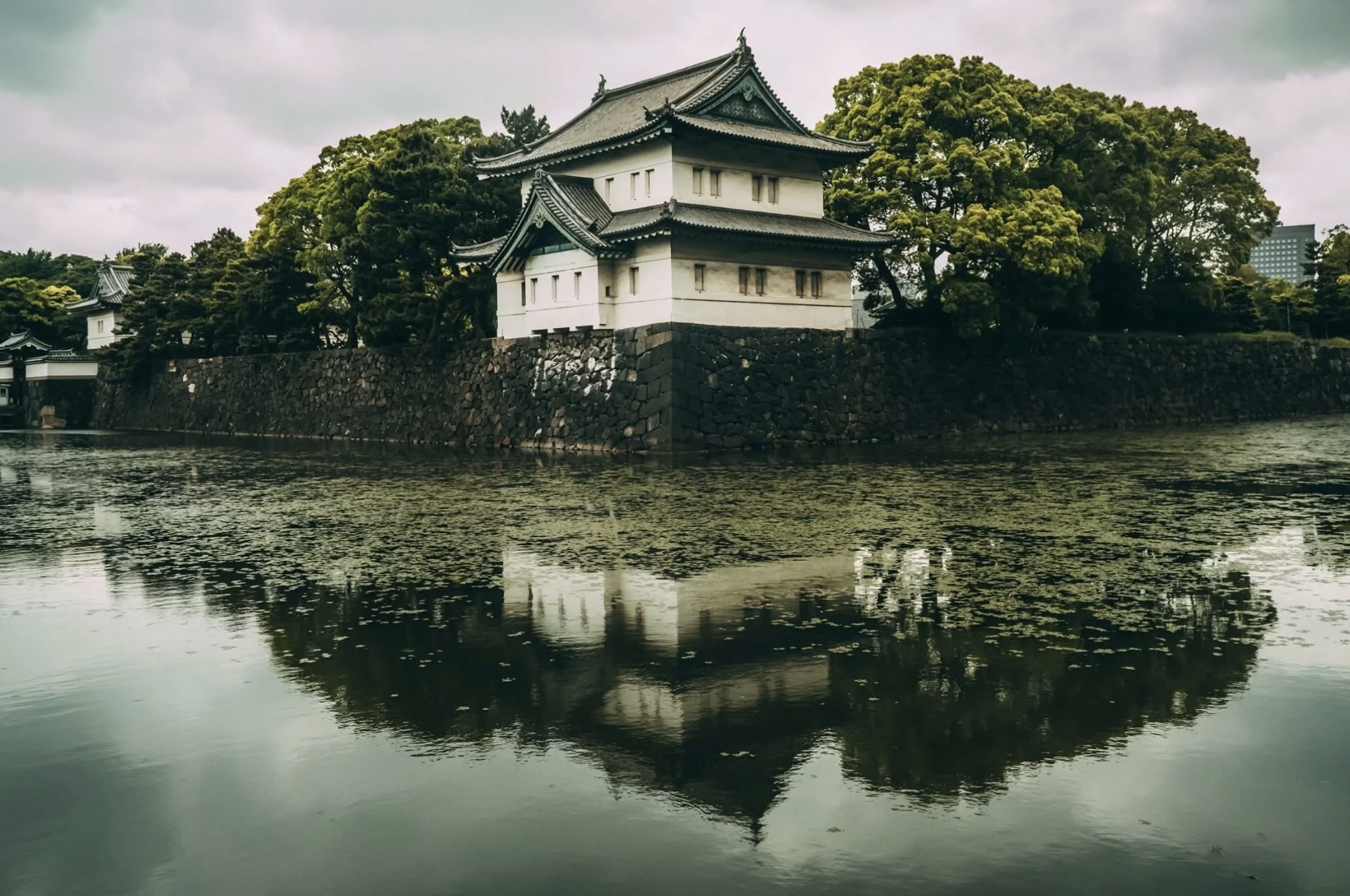 Screenshot 2026-03-03 at 3.33.25 PM.png