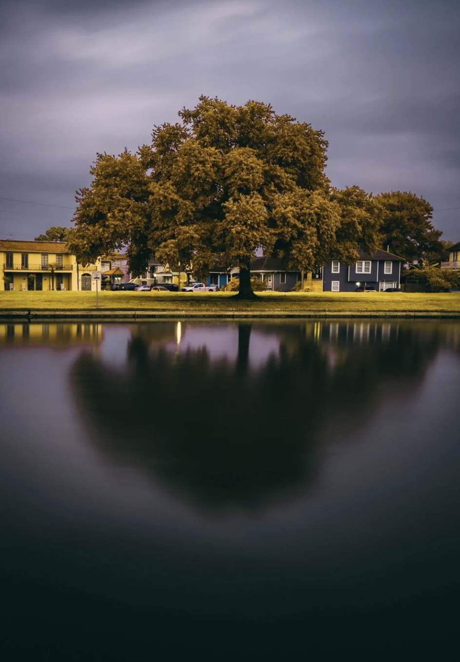 Screenshot 2026-03-03 at 3.33.51 PM.png