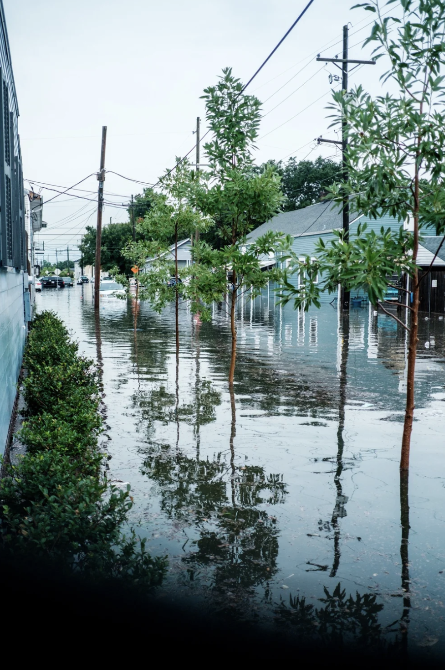 Screenshot 2026-03-03 at 3.34.32 PM.png