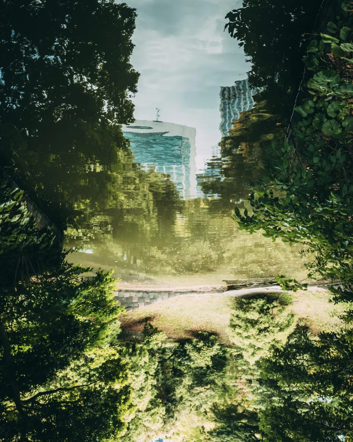 Screenshot 2026-03-03 at 3.47.20 PM.png