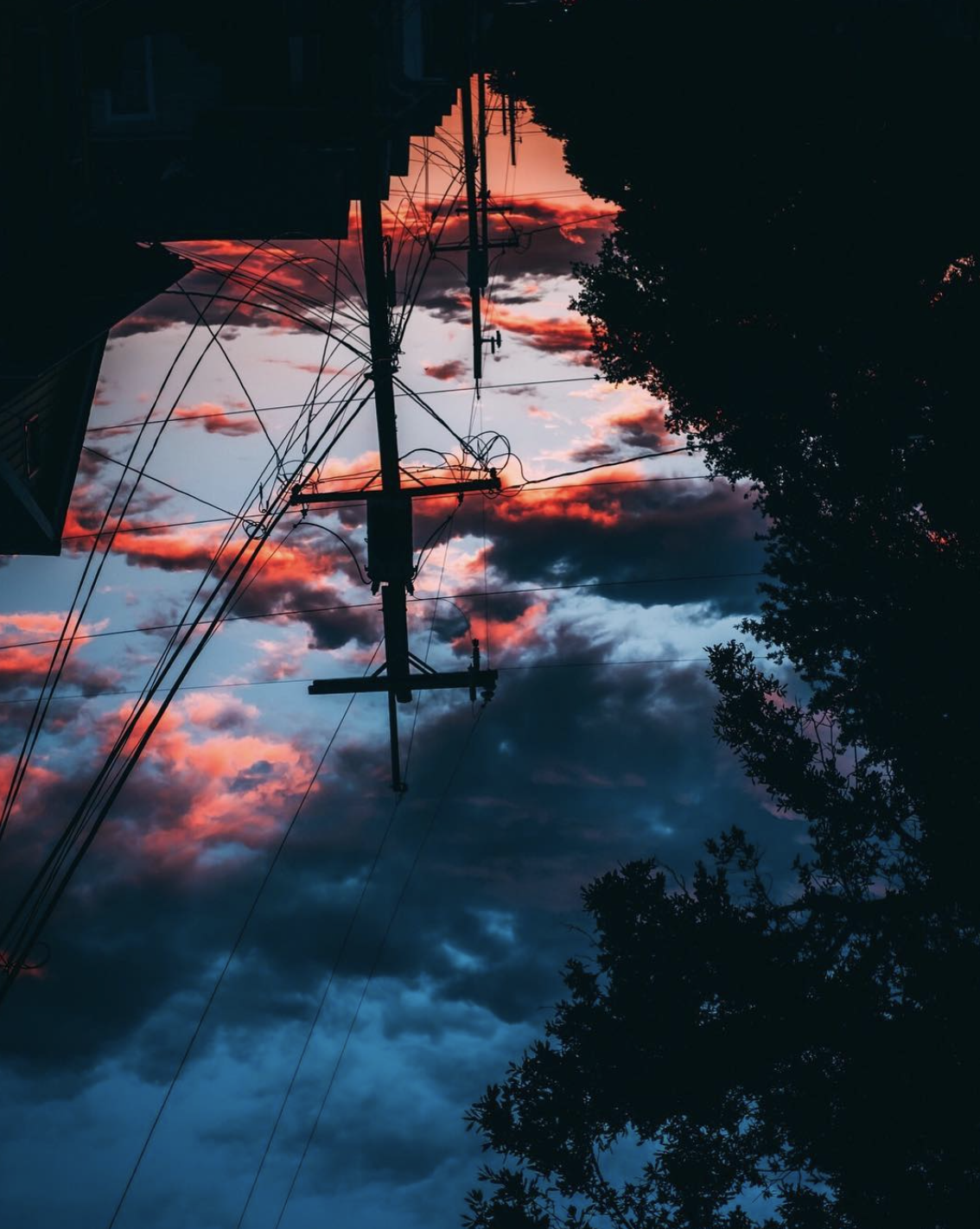 Screenshot 2026-03-03 at 3.49.49 PM.png