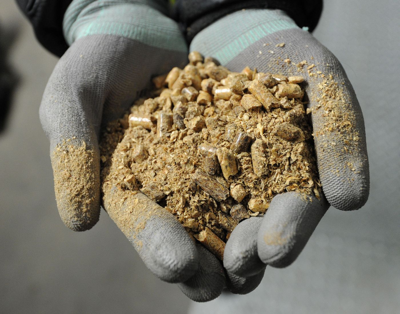 Europe Needs to Be Frank About Biomass