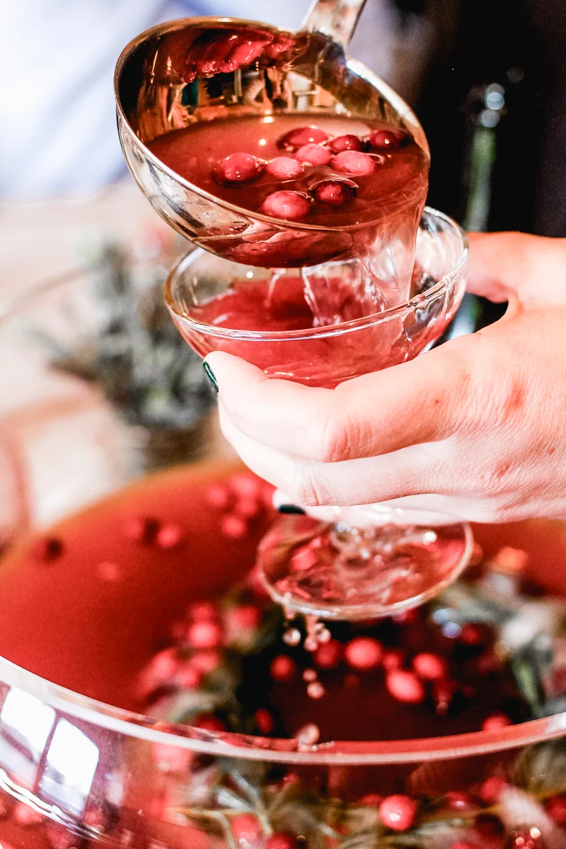 Thanksgiving_Punch-6323.jpg