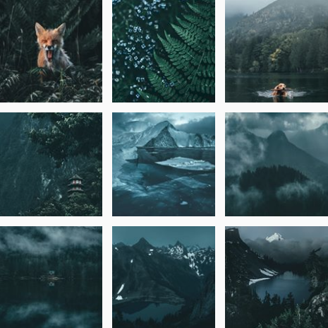 Screen Shot 2018-10-30 at 5.42.32 PM.png