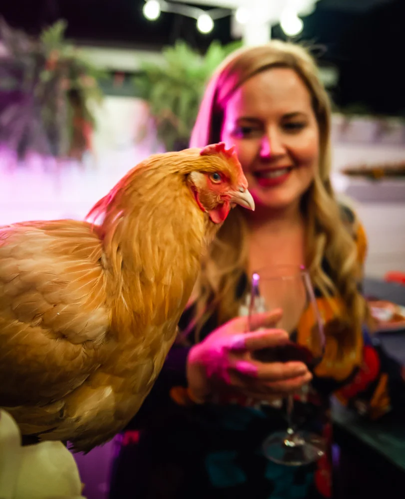 THIS is the way you do a wine tasting party. Hosted by Kate from Drinking with Chickensand featuring Hahn Family Wines.