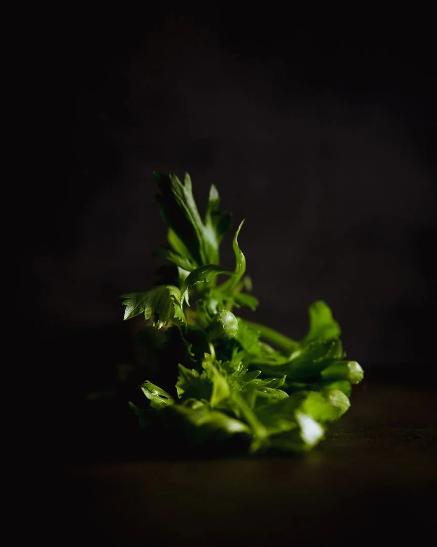 celery shot with moody background and light. Sarah Ehlinger / Brand Spanking You Brand Photography