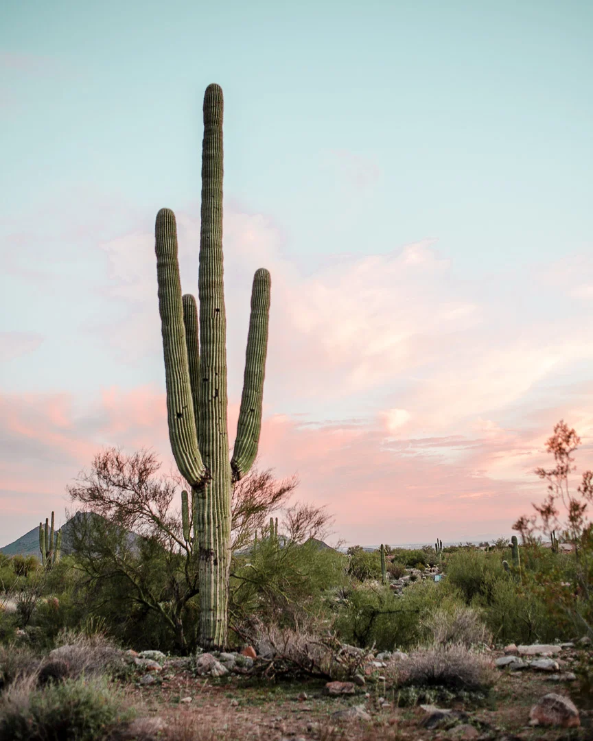 AZ_Jan_IG_Feed-7912.jpg