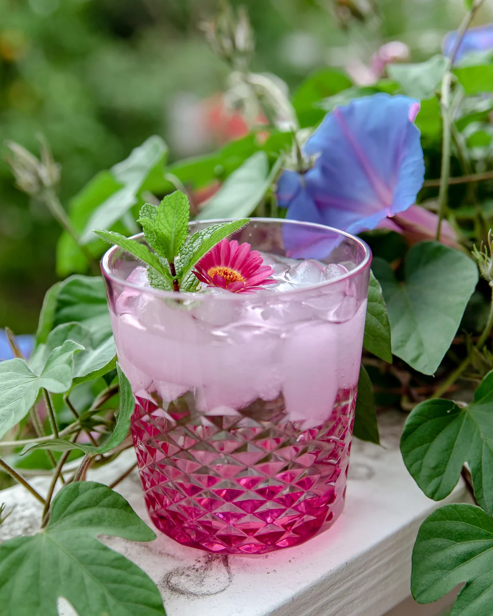 Sarah_Ehlinger_Product_Photography-2186.jpg
