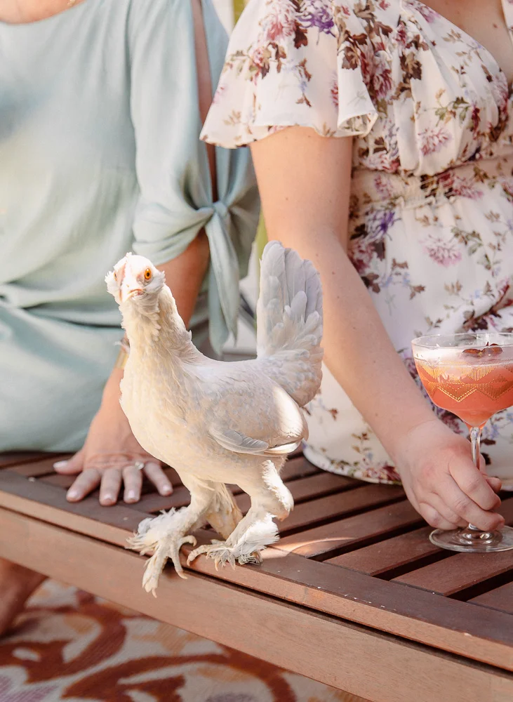Sarah_Ehlinger_CountryLiving_Photography-0775.jpg