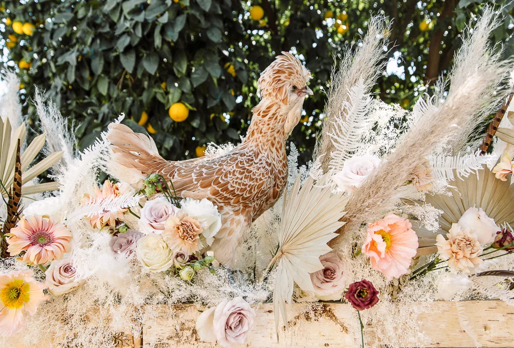 A hen party bridal shower with chickens. Hosted by Drinking with chickens and featured in Country living magazine.
