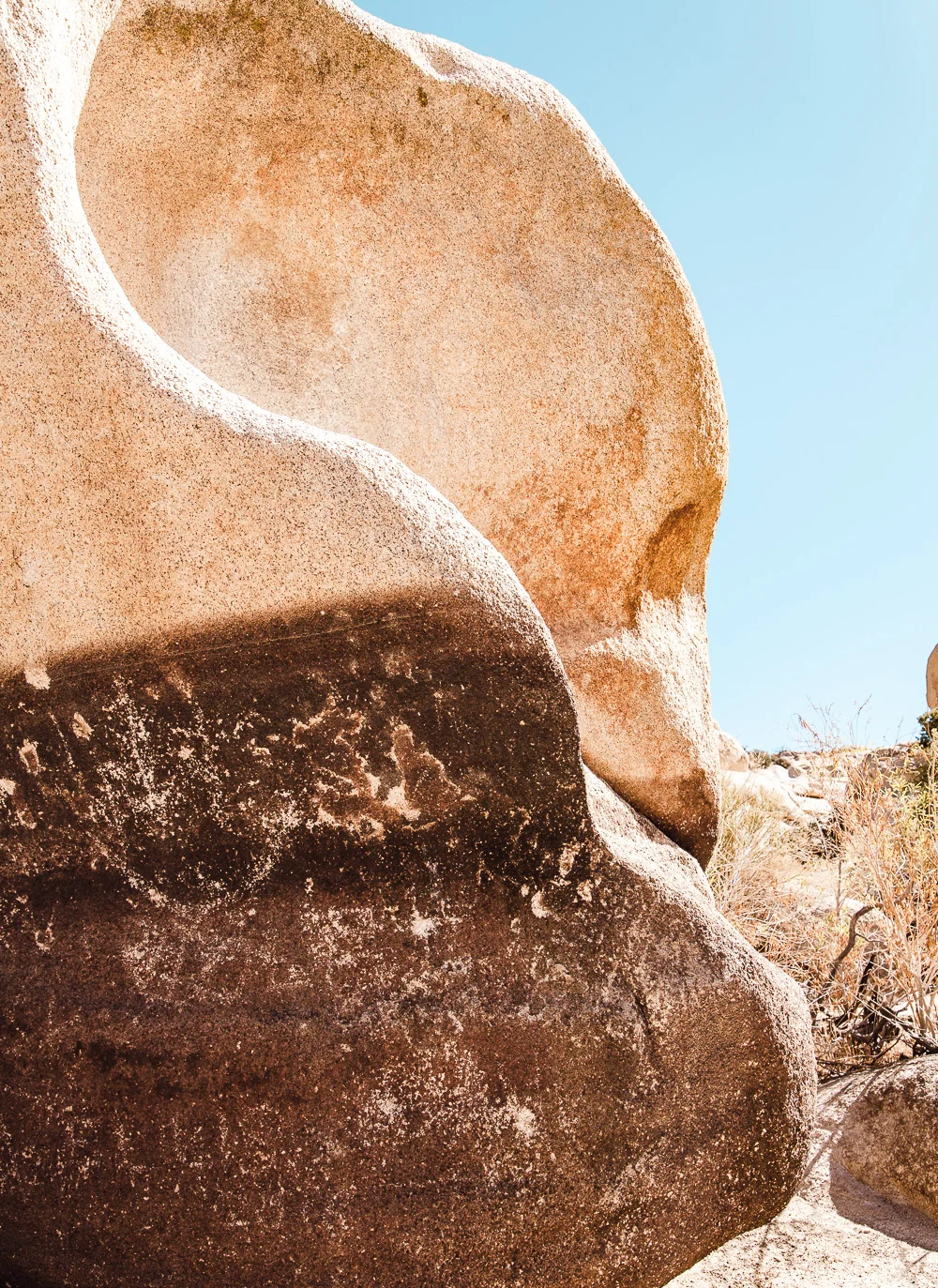 A visual travelogue of Joshua Tree, CA by Los Angeles photographer Sarah Ehlinger