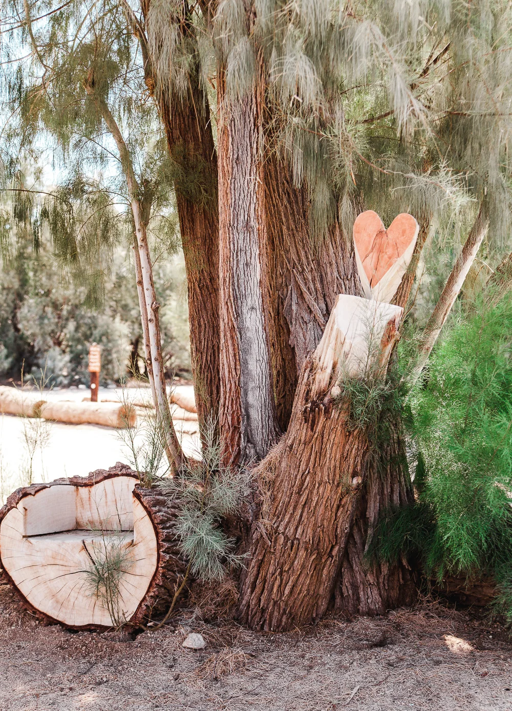 A visual travelogue of Joshua Tree, CA by Los Angeles photographer Sarah Ehlinger