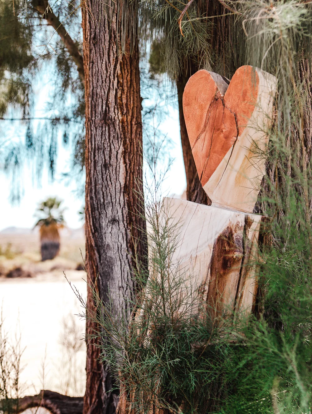 A visual travelogue of Joshua Tree, CA by Los Angeles photographer Sarah Ehlinger