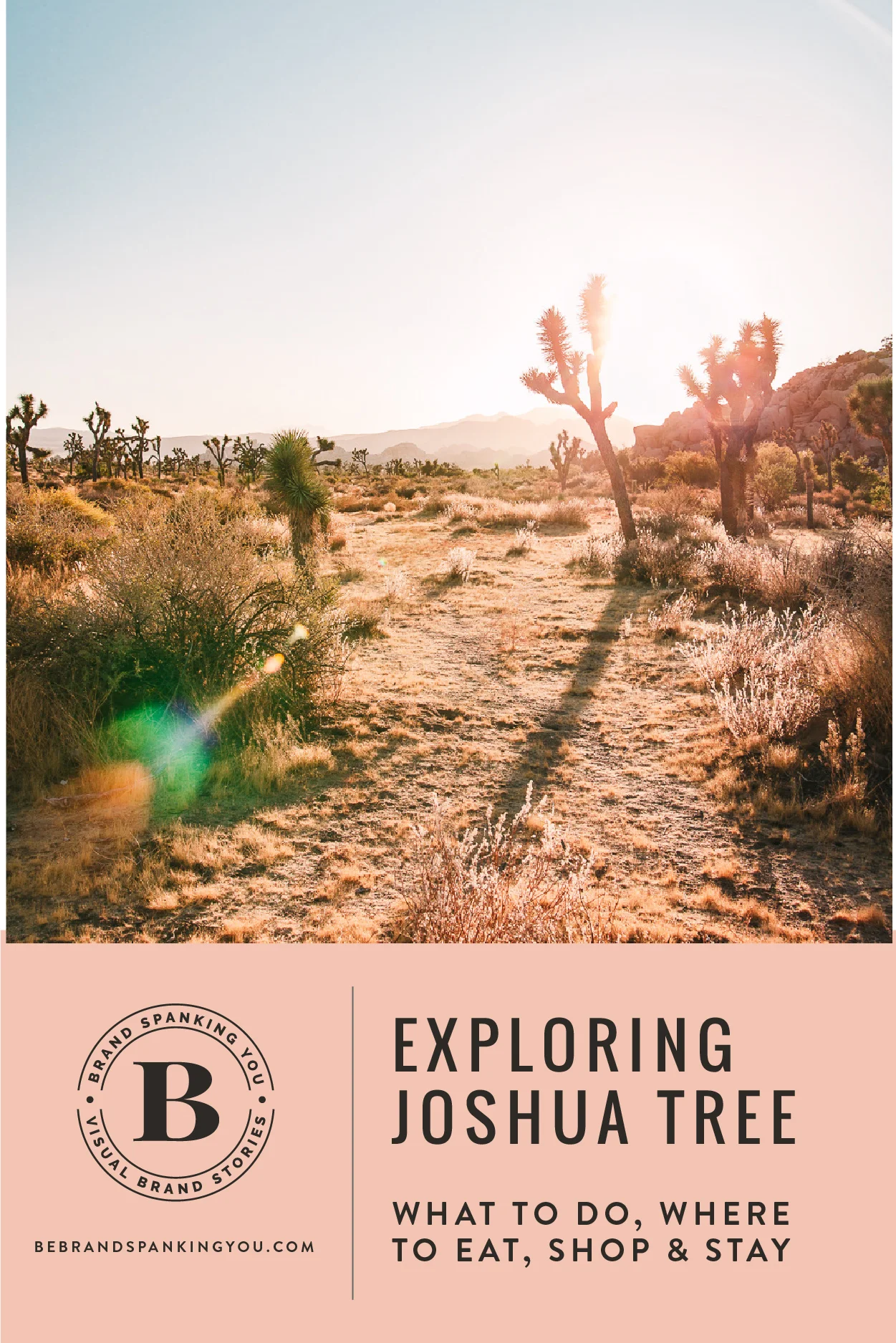 A visual travelogue of Joshua Tree, CA by photographer Sarah Ehlinger. Find out what to do, and where to stay, eat & shop.