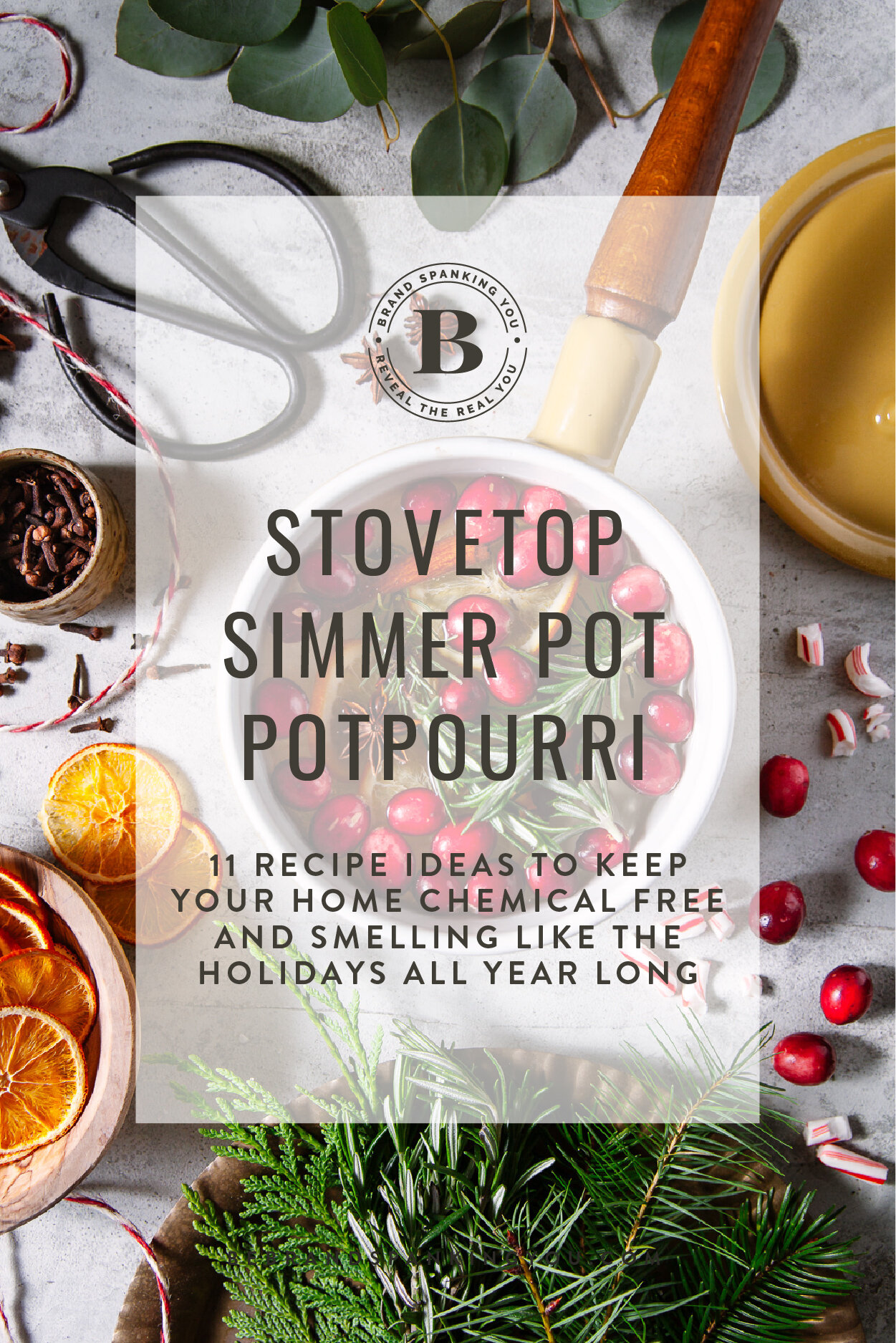 Easy Simmer Pot Recipes for a Delicious Smelling Home - Eleanor Rose Home