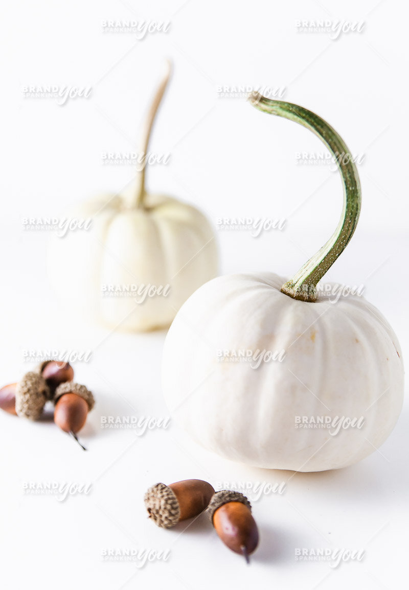 autumn fall healthy stock photo image