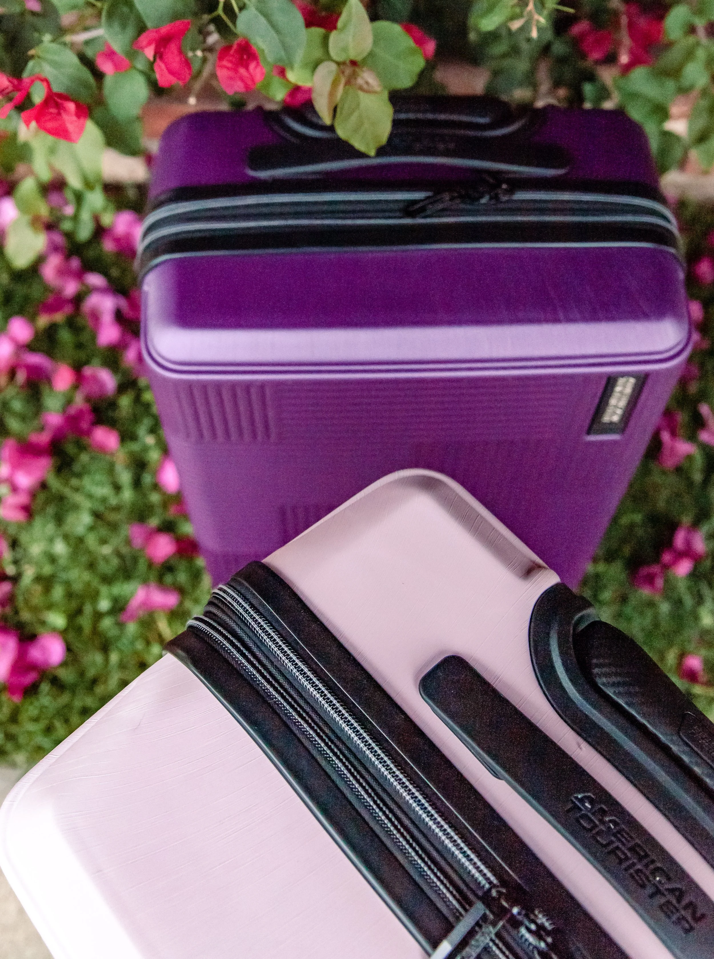 American_Tourister_Sarah_E-11.jpg