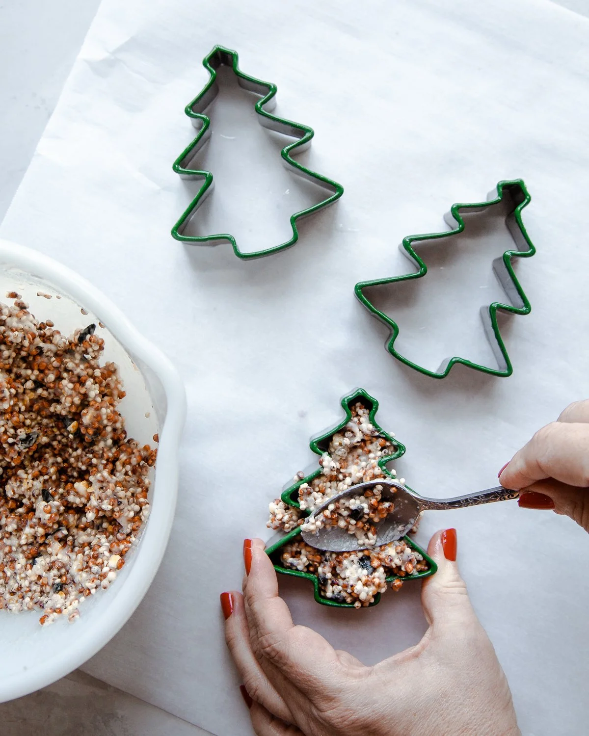 Jojotastic_Scandi_Modern_Birdseed_Ornaments-606.jpg