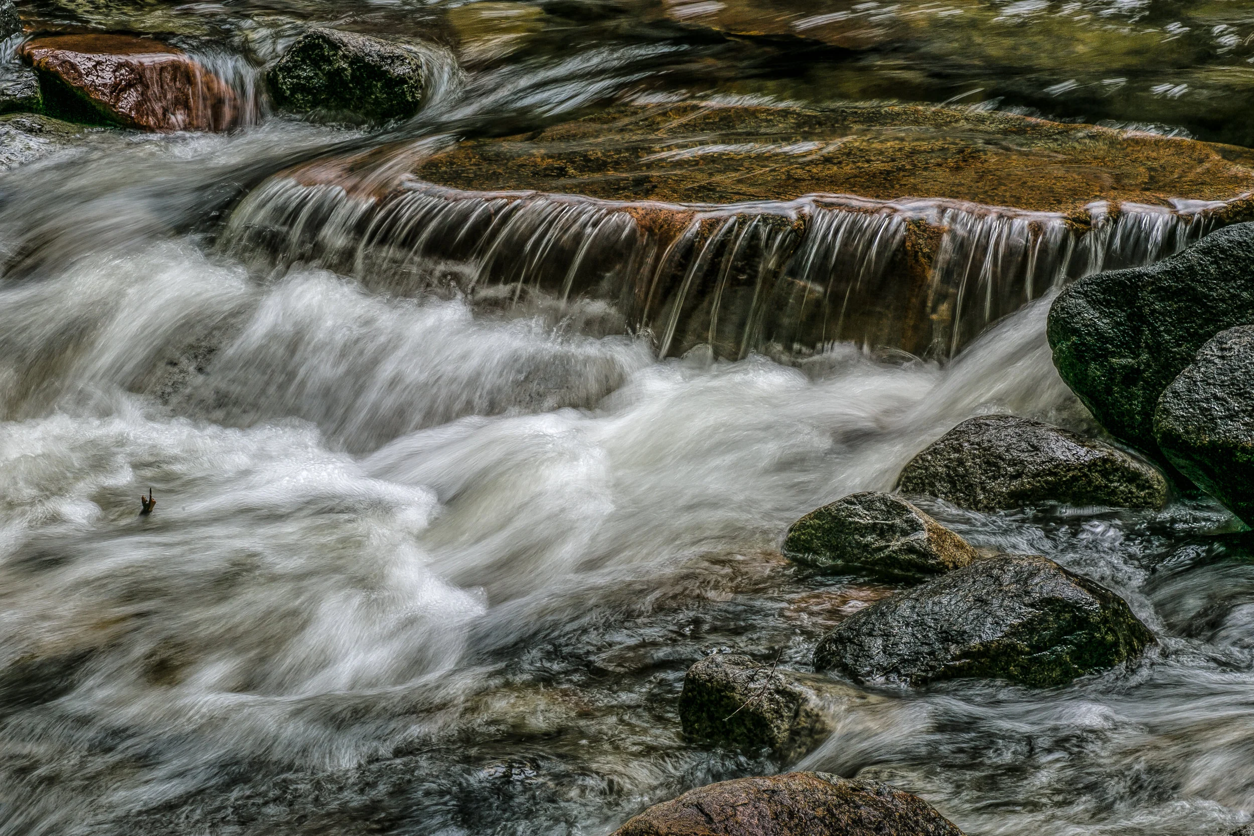 IMG_1490-Edit.jpg