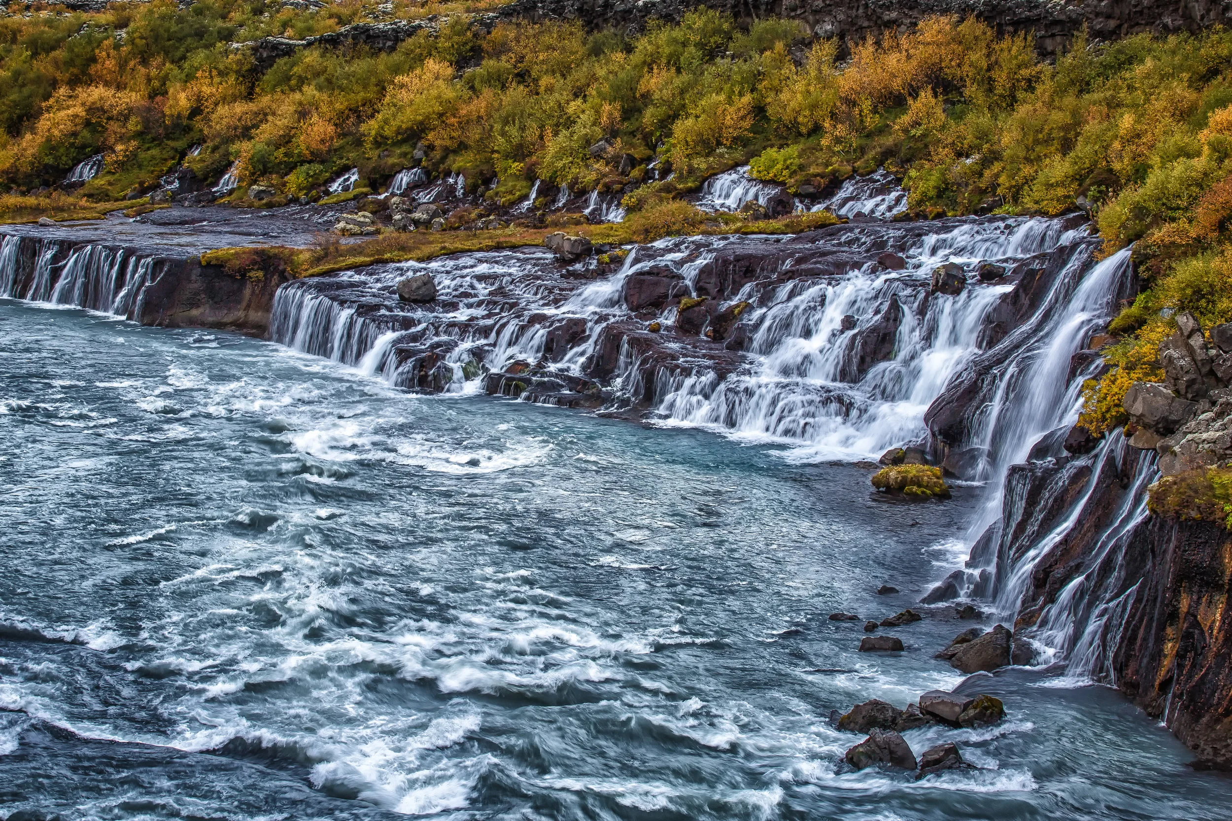 IMG_8430-Edit-2-Edit.jpg