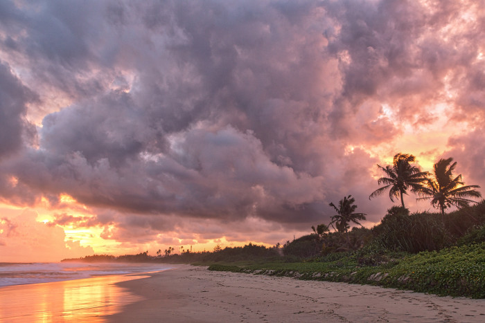 IMG_8838-Edit-700x467.jpg